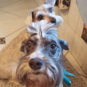 Meet your Posher, Kenny